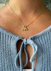 Coastal Cowgirl Necklace