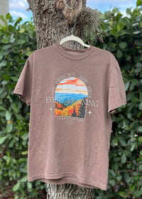 His Mercies Are New Every Morning Tee