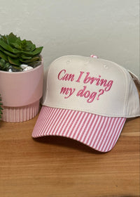 A white baseball cap with pink and white vertical striped brim and pink embroidered text reading 'Can I bring my dog?' resting on a wooden surface next to a small potted succulent.