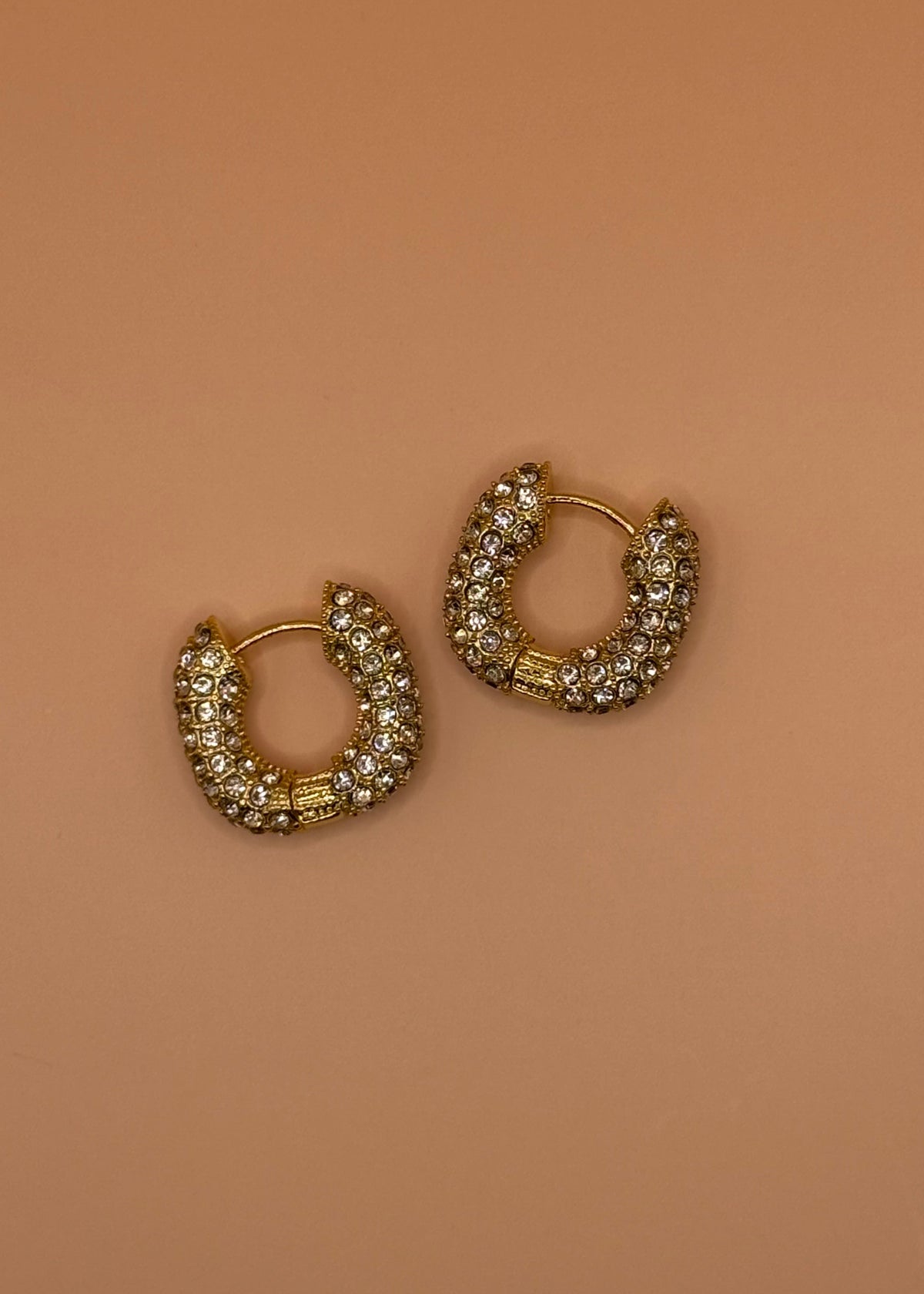 Sunny Side Earrings
